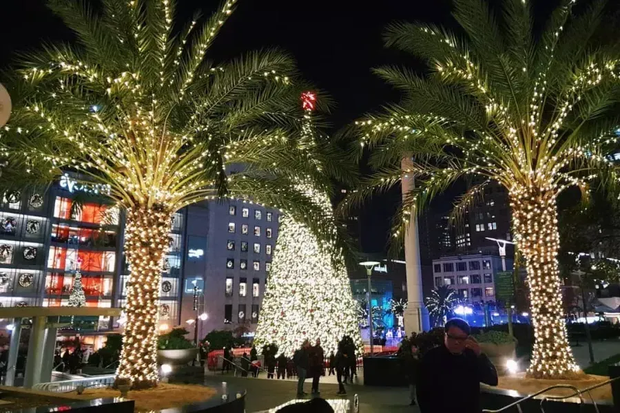 union-square-christmas-trees